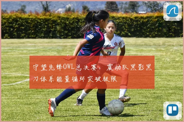 守望先锋OWL总决赛，震动队黑影黑刀体系能量循环突破极限